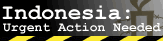 Indonesia: Urgent Action Needed