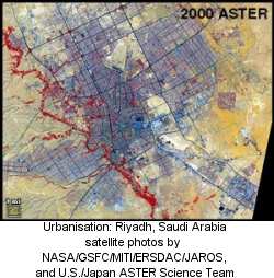 Riyadh 1972